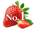 ランキング1位