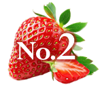 ランキング2位
