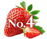 ランキング4位